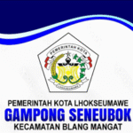 Standar Pelayanan Minimal Desa (SPM)